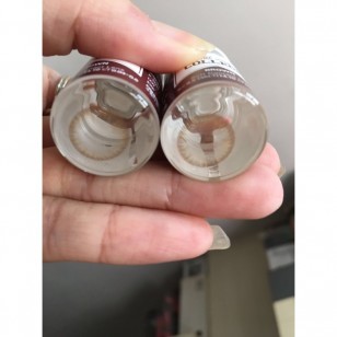 Lens-Town Precollege Brown(月拋)